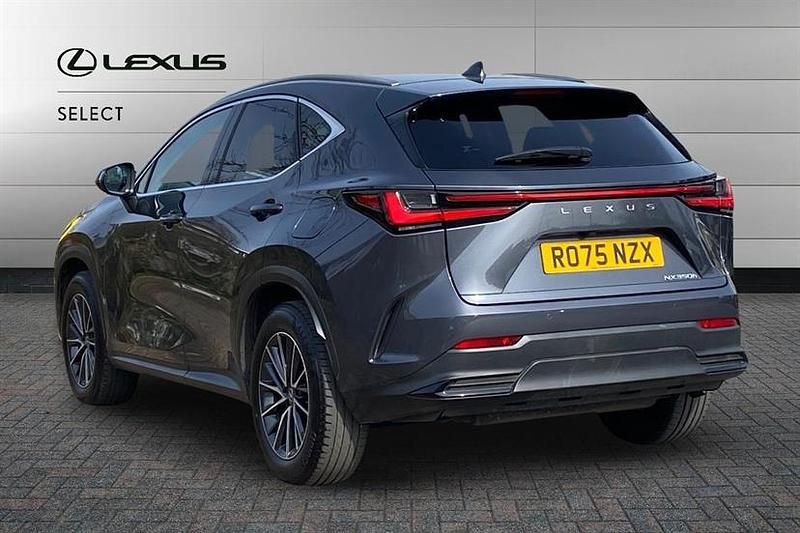 Used Lexus NX350h 243 HP (178 kW) 2025 Sonic grey SUV