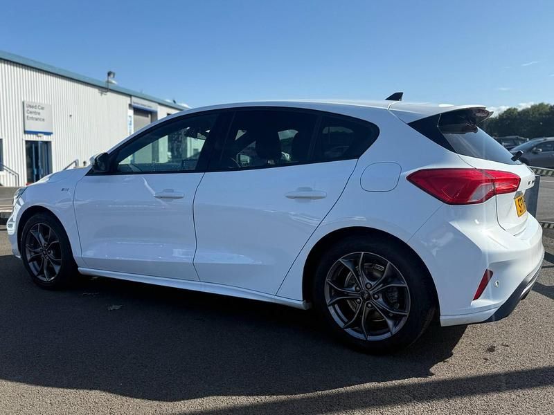 Used Ford Focus ST-Line 155 HP (114 kW) 2021 White Hatchback