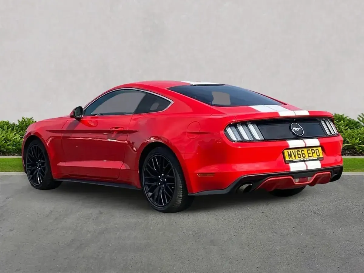 Used Ford Mustang Fastback 317 HP (233 kW) 2016 Red Coupe
