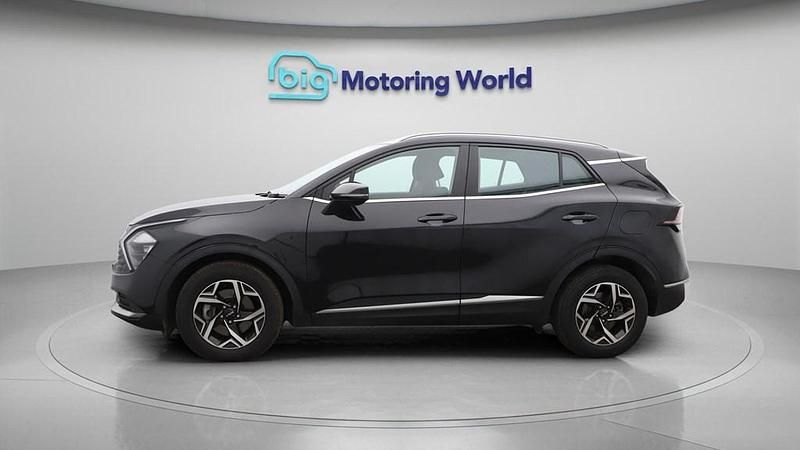 Used Kia Sportage 148 HP (108 kW) 2023 Black SUV