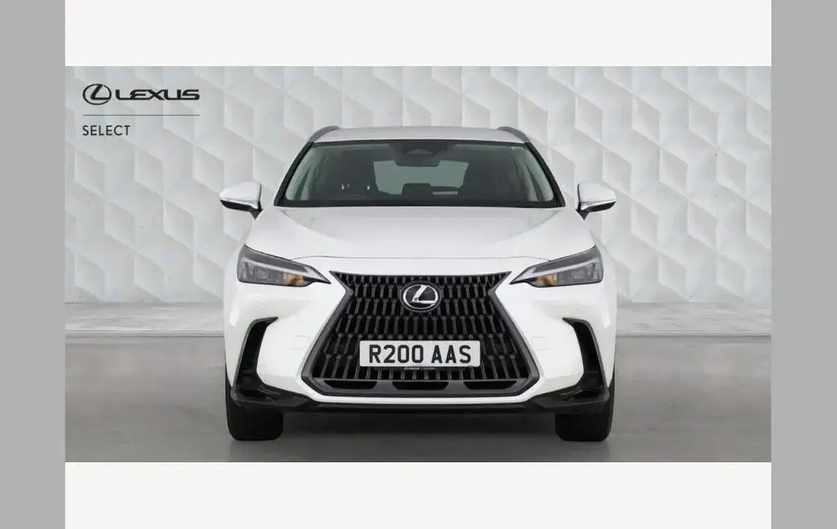 Used Lexus NX350h 239 HP (175 kW) 2022 White SUV