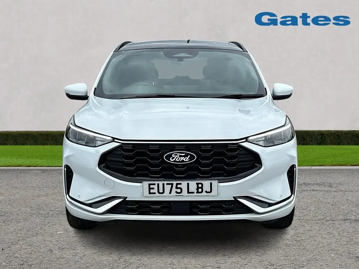 Used Ford Kuga ST-Line X 150 HP (110 kW) 2025 White SUV