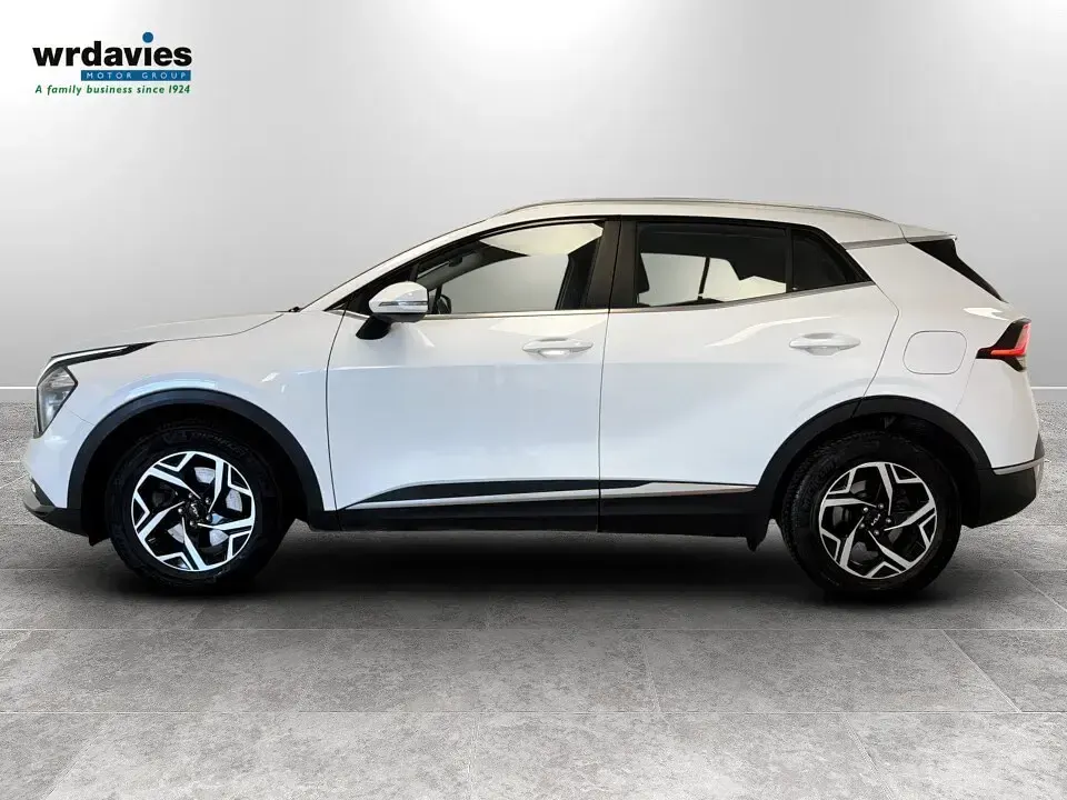 Used Kia Sportage 2024 White SUV