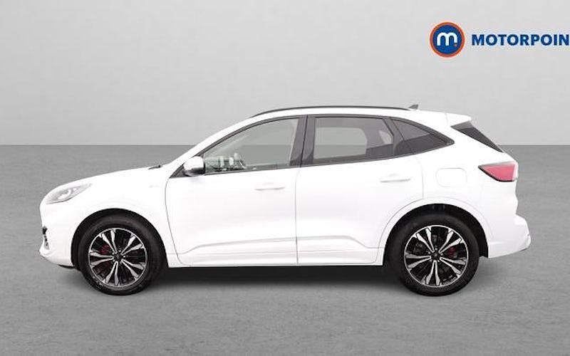 Used Ford Kuga ST-Line X 190 HP (139 kW) 2021 White SUV