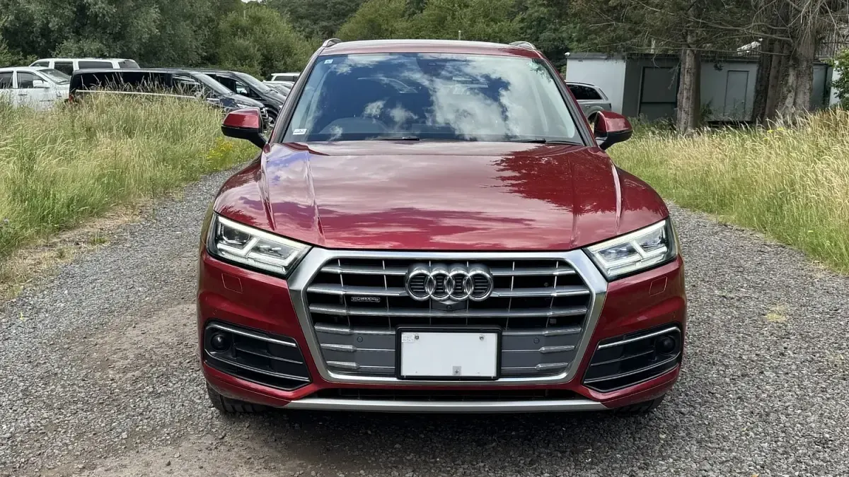Used Audi Q5 Sport 2019 Maroon SUV