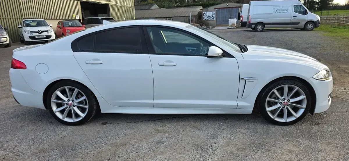 Used Jaguar XF R-Sport 163 HP (119 kW) 2014 White Sedan