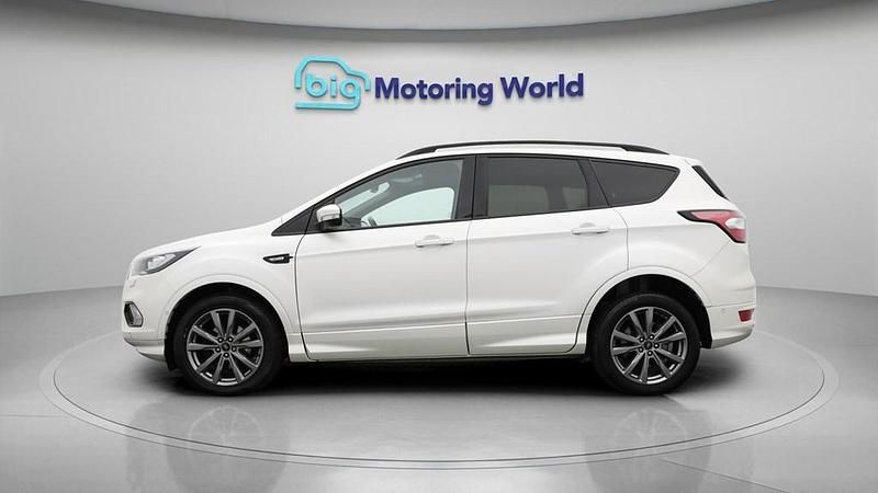 Used Ford Kuga ST-Line 150 HP (110 kW) 2019 White SUV