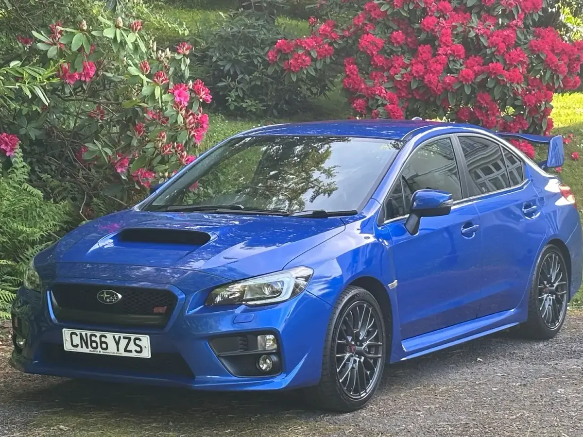Used Subaru WRX STI 295 HP (216 kW) 2016 Blue Sedan
