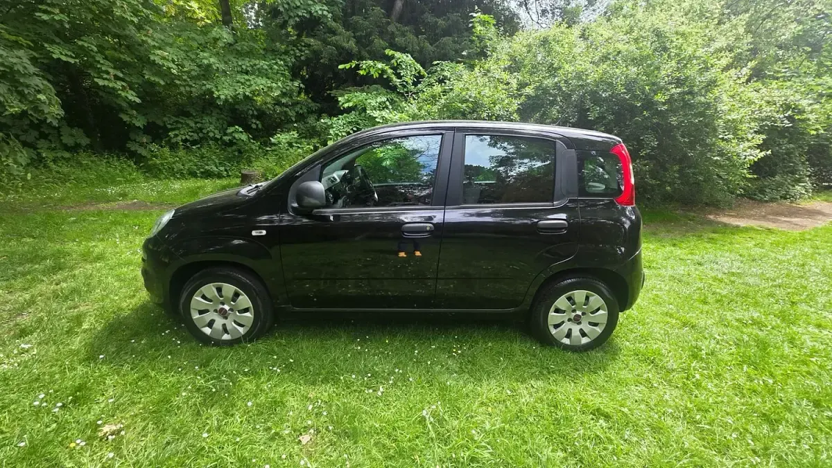 Used Fiat Panda Pop 69 HP (50 kW) 2014 Black Hatchback