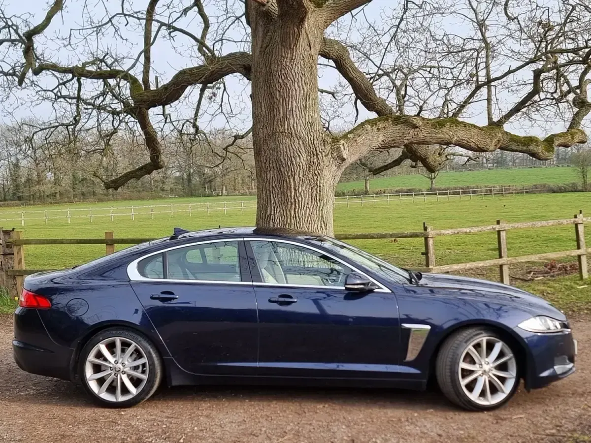 Gebraucht Jaguar XF Portfolio 200 PS (147 kW) 2015 Blau Limousine