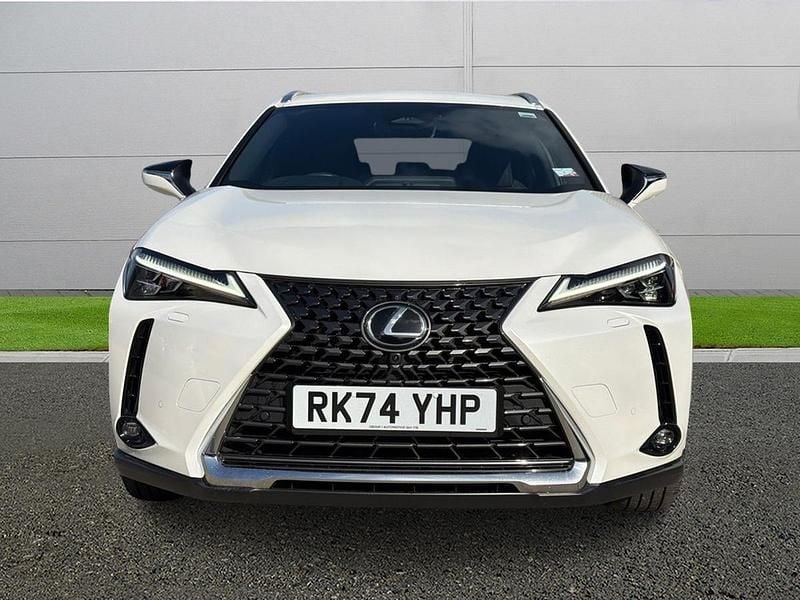 Used Lexus UX 300h 2024 White SUV