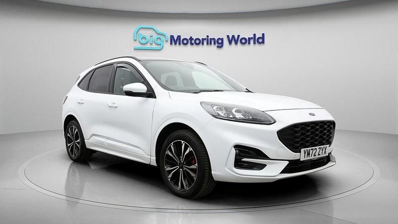 Used Ford Kuga ST-Line X 225 HP (165 kW) 2023 White SUV
