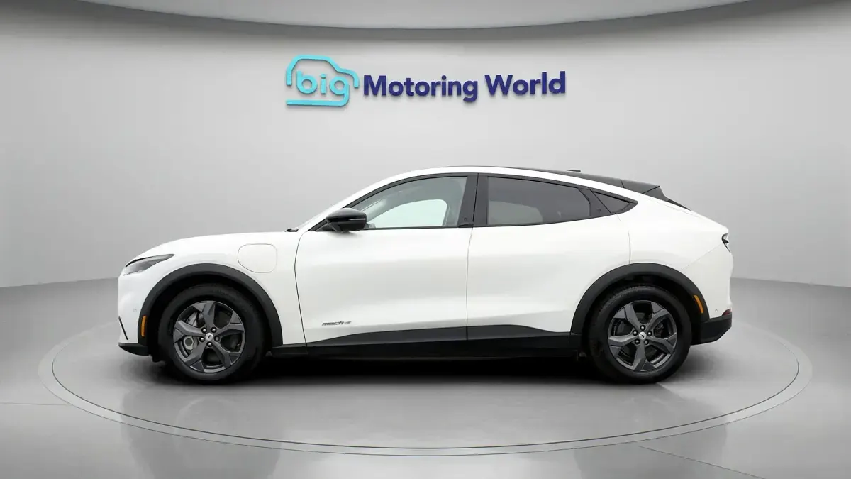 Used Ford Mustang Mach-E Standard Range 194 kW (265 HP) 2023 White SUV