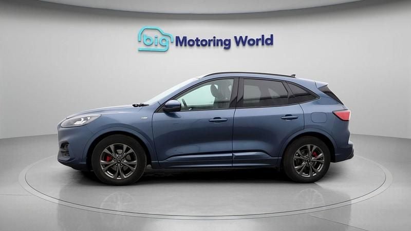 Used Ford Kuga ST-Line 150 HP (110 kW) 2022 Blue SUV