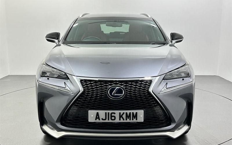 Used Lexus NX300h Sport Line 197 HP (144 kW) 2017 SUV