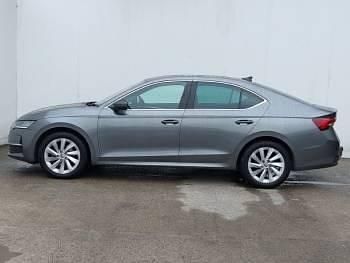 Used Skoda Octavia SE L 150 HP (110 kW) 2024 Grey Hatchback