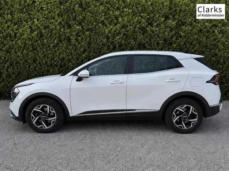 Used Kia Sportage 157 HP (115 kW) 2024 White SUV