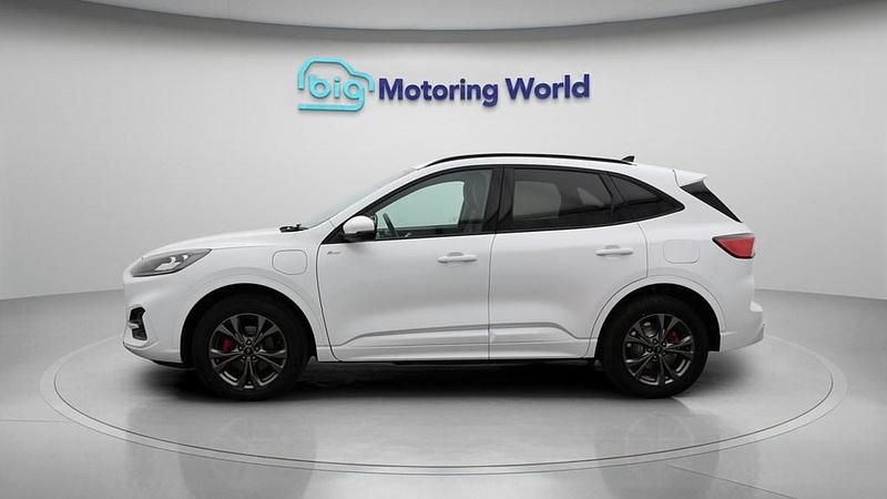 Used Ford Kuga ST-Line 225 HP (165 kW) 2023 White SUV