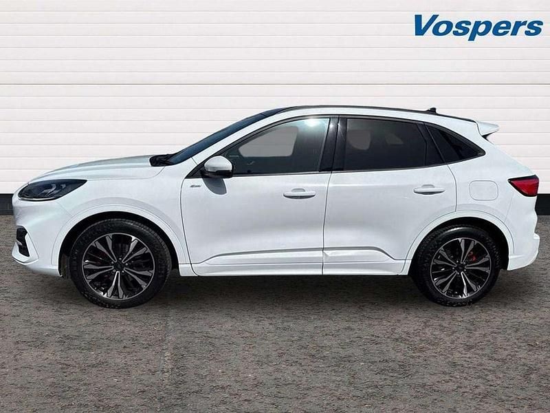 Used Ford Kuga ST-Line X 150 HP (110 kW) 2023 White SUV