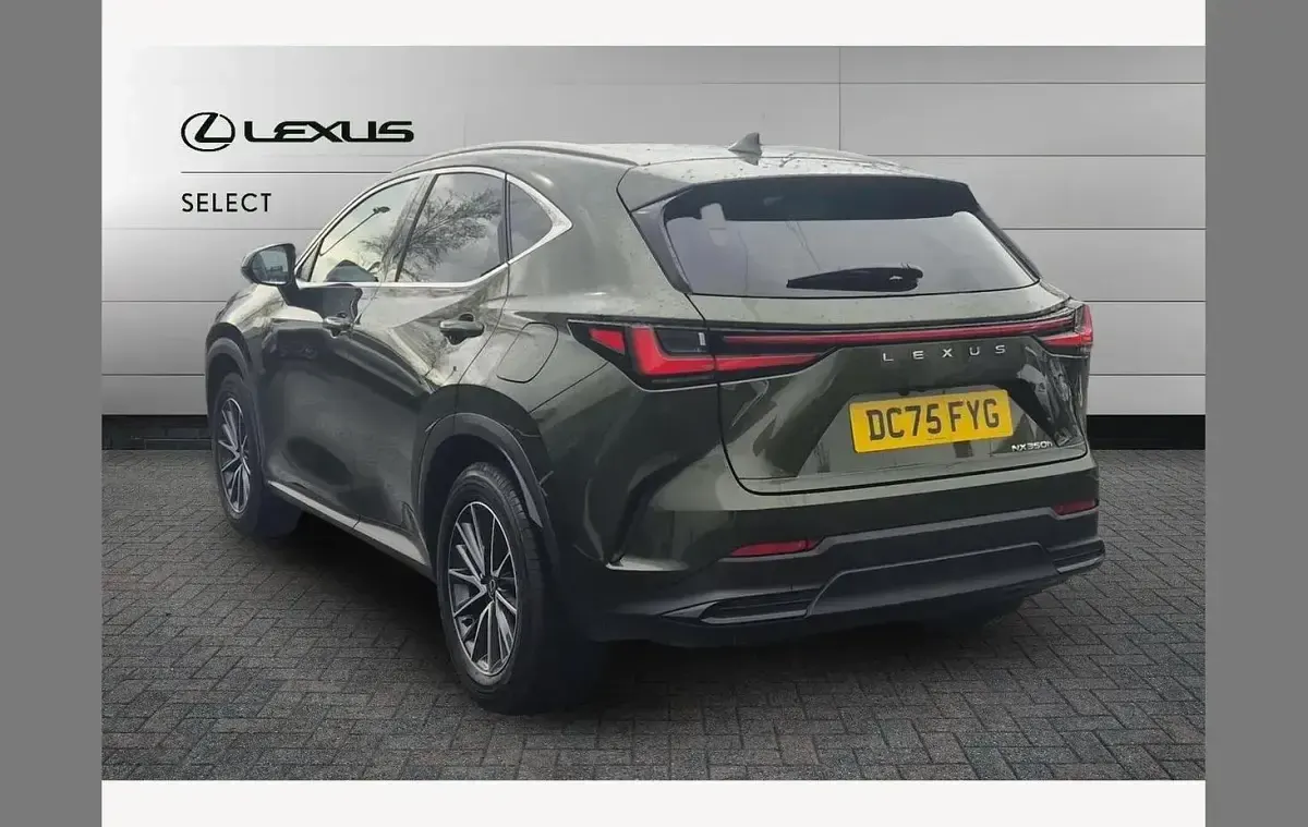 Used Lexus NX350h 197 HP (144 kW) 2025 Green SUV