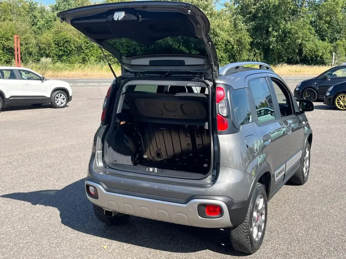 Used Fiat Panda Cross Cross 85 HP (62 kW) 2019 Grey Hatchback