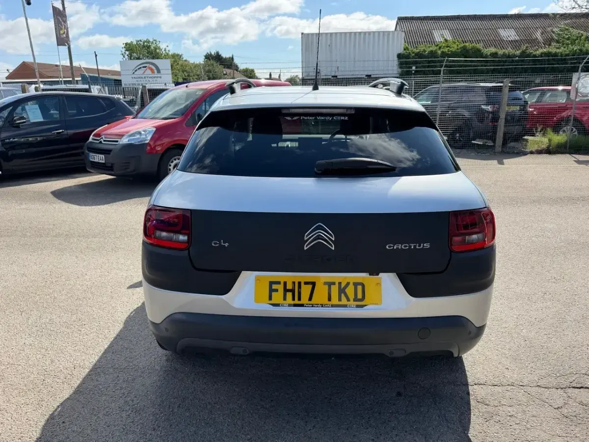 Used Citroën C4 Cactus Flair 98 HP (72 kW) 2017 Silver Hatchback
