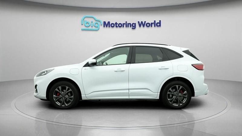 Used Ford Kuga ST-Line 222 HP (163 kW) 2022 White SUV
