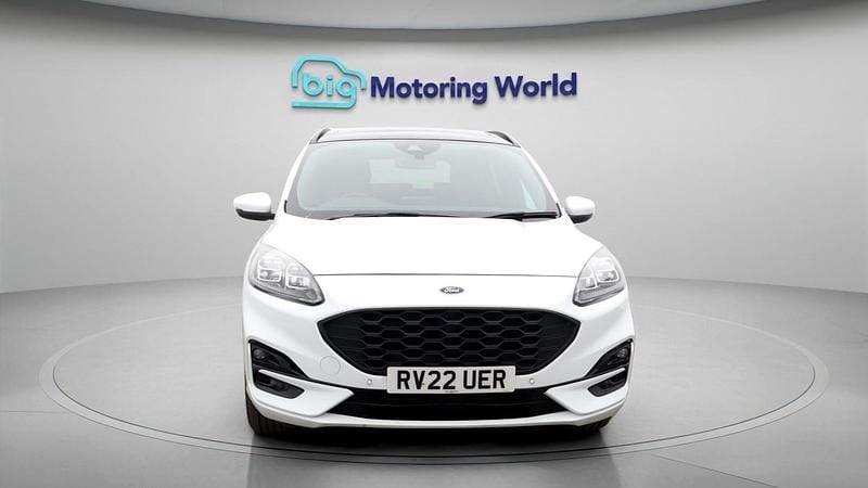 Used Ford Kuga ST-Line X 120 HP (88 kW) 2021 White SUV