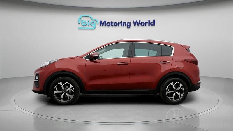 Used Kia Sportage 136 HP (100 kW) 2021 SUV