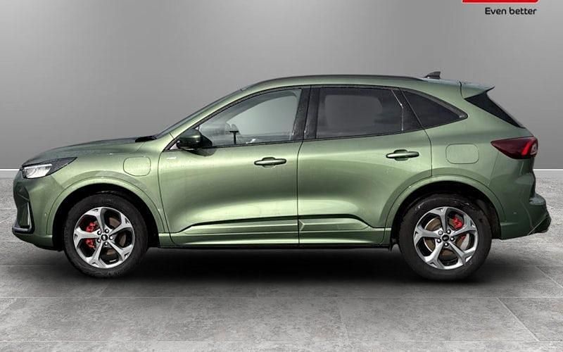 Used Ford Kuga ST-Line 242 HP (177 kW) 2025 SUV