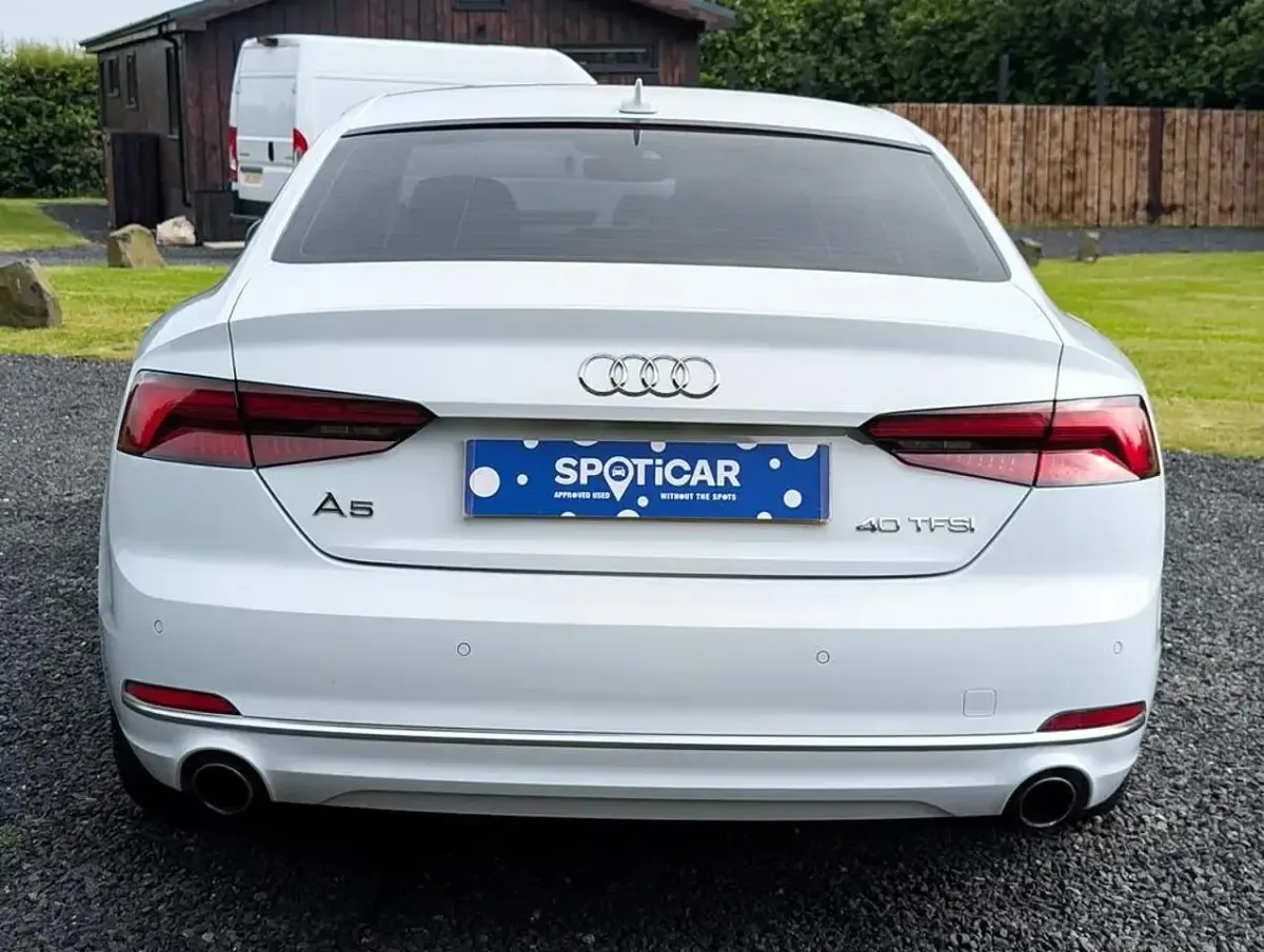Used Audi A5 Sport 187 HP (137 kW) 2019 White Coupe