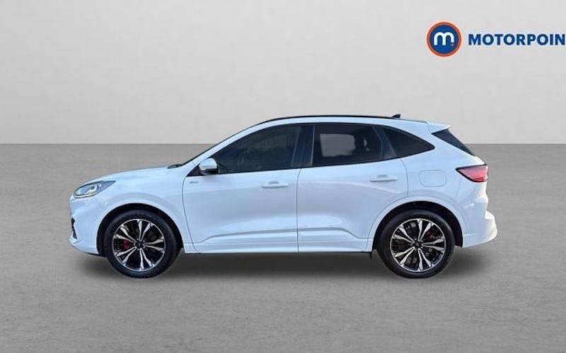 Used Ford Kuga ST-Line X 190 HP (139 kW) 2023 White SUV