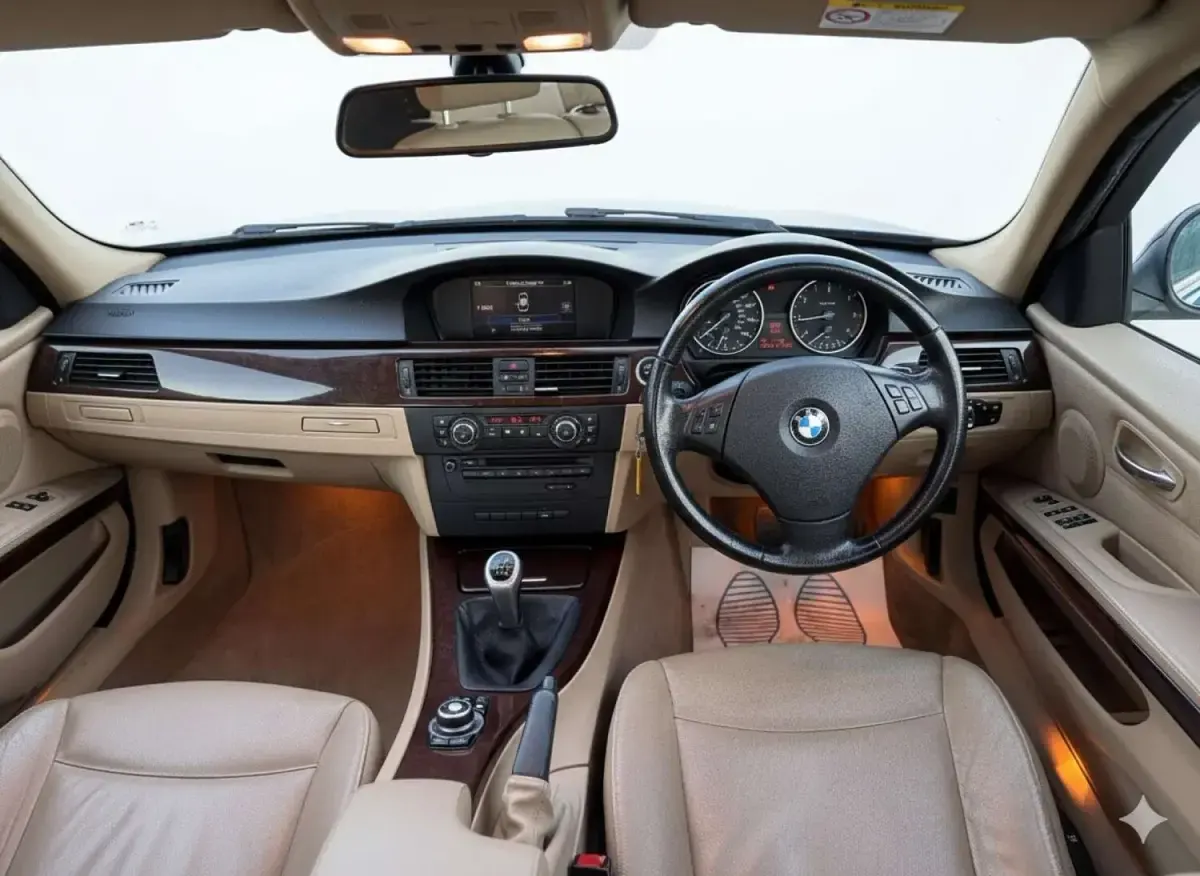 Used BMW 318 143 HP (105 kW) 2009 Blue Sedan