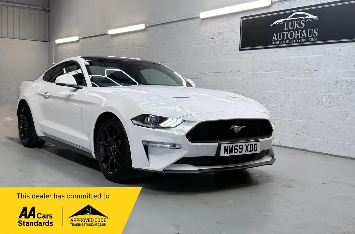 Used Ford Mustang Fastback 310 HP (228 kW) 2019 White Coupe