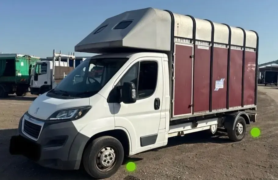 Used Peugeot Boxer 130 HP (95 kW) 2014 White Van