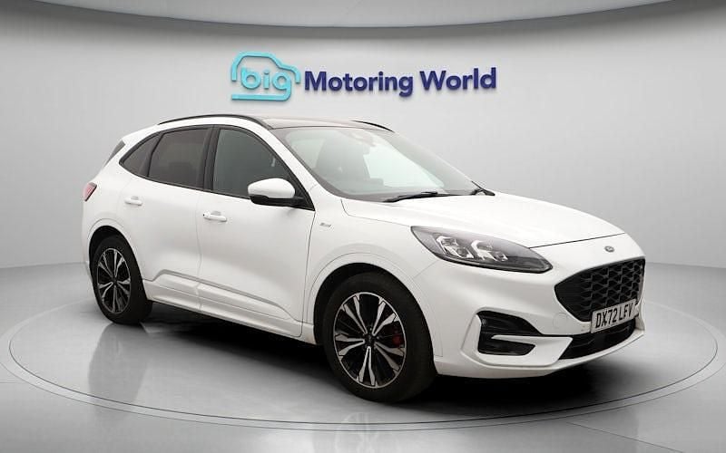 Used Ford Kuga ST-Line X 150 HP (110 kW) 2022 White SUV