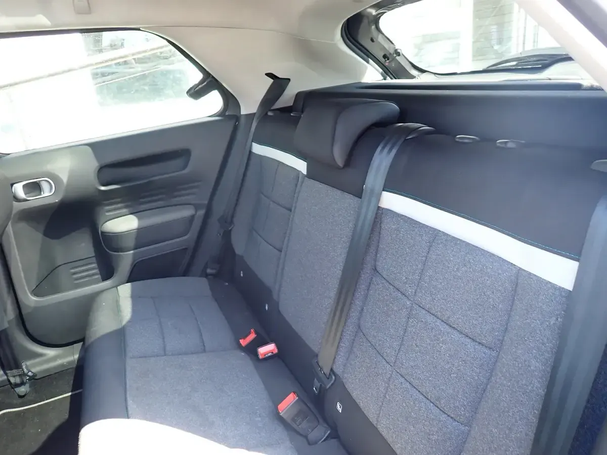 Used Citroën C4 Cactus Flair 110 HP (80 kW) 2019 Grey Hatchback