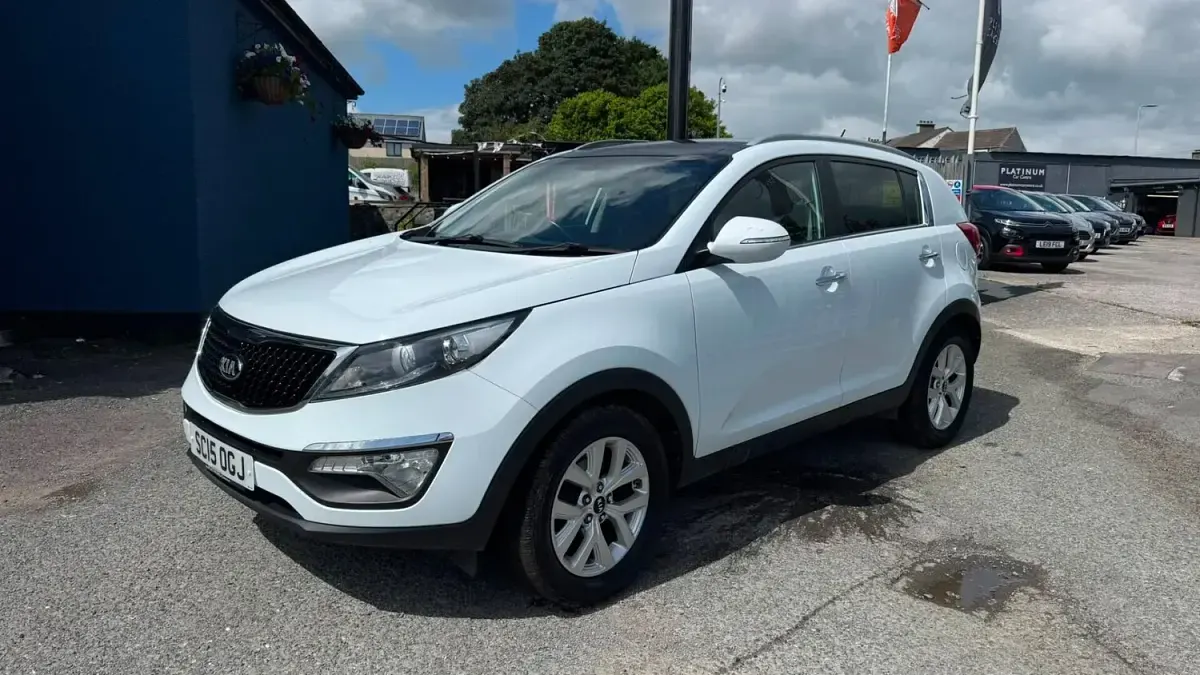Used Kia Sportage 2015 White SUV