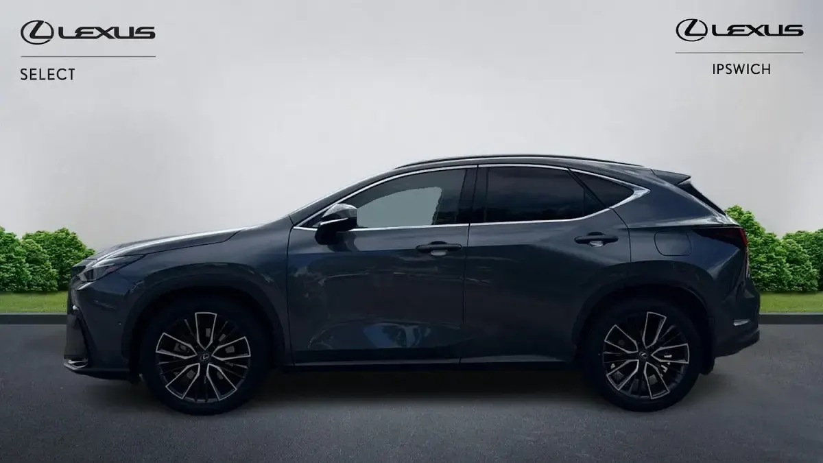 Used Lexus NX450h+ 2023 Grey SUV