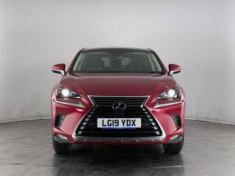 Used Lexus NX300h 2019 Red SUV
