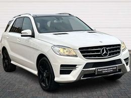 Mercedes ML250