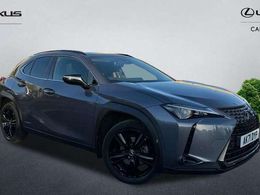 Lexus UX 250h