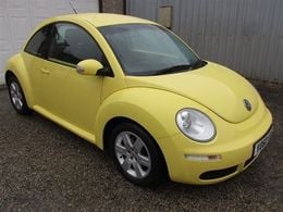 VW Beetle