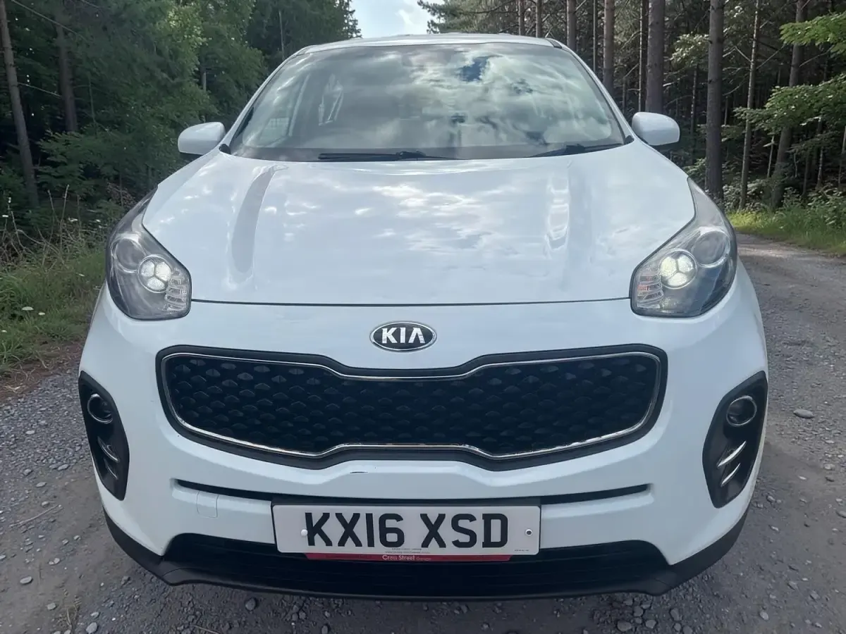 Used Kia Sportage 130 HP (95 kW) 2016 White SUV