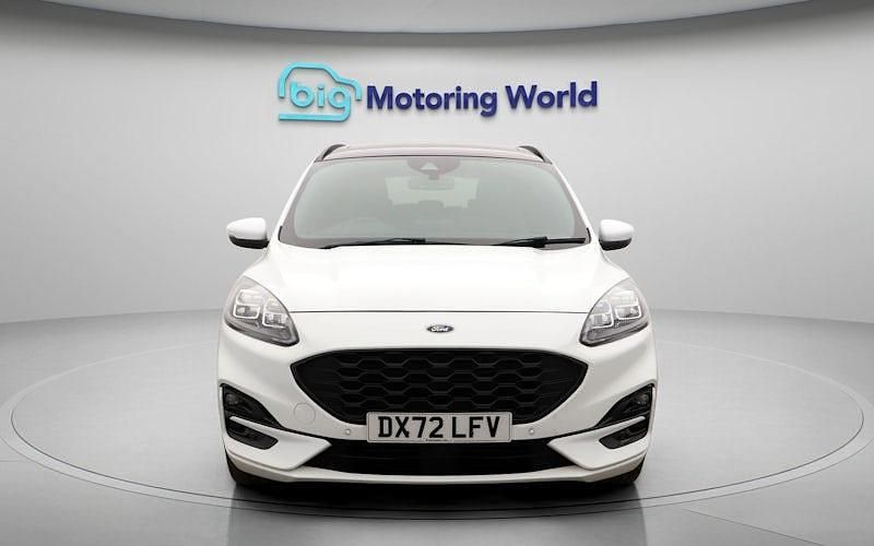 Used Ford Kuga ST-Line X 150 HP (110 kW) 2022 White SUV