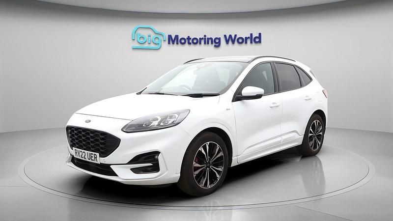Used Ford Kuga ST-Line X 120 HP (88 kW) 2021 White SUV