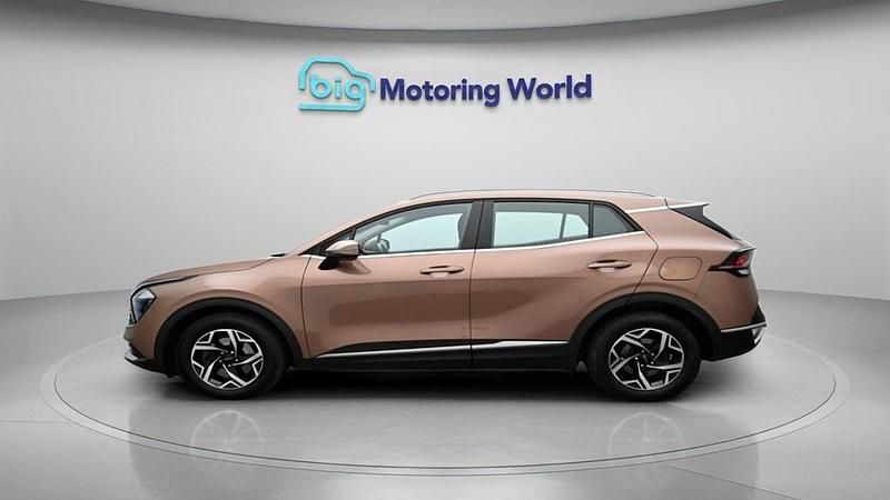 Used Kia Sportage 148 HP (108 kW) 2022 Bronze SUV