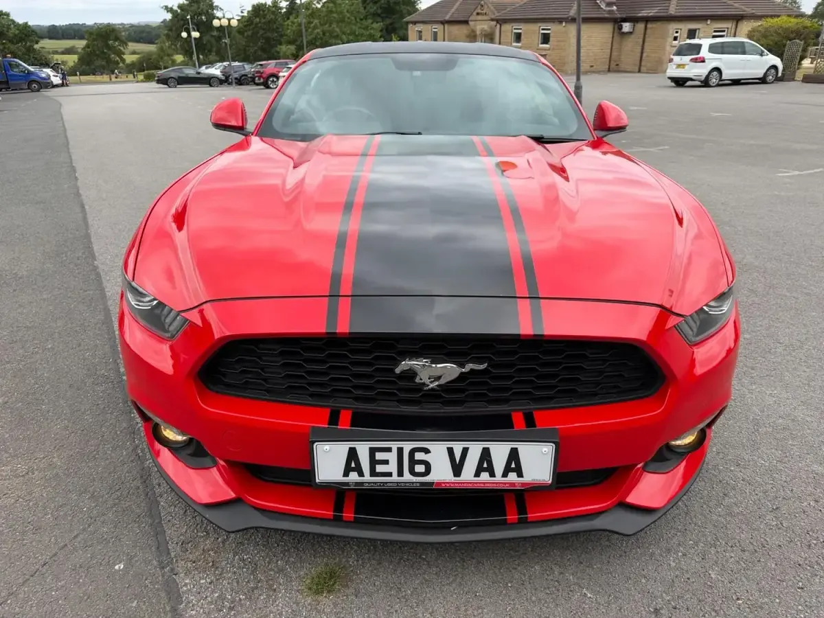 Used Ford Mustang Fastback 317 HP (233 kW) 2016 Red Coupe