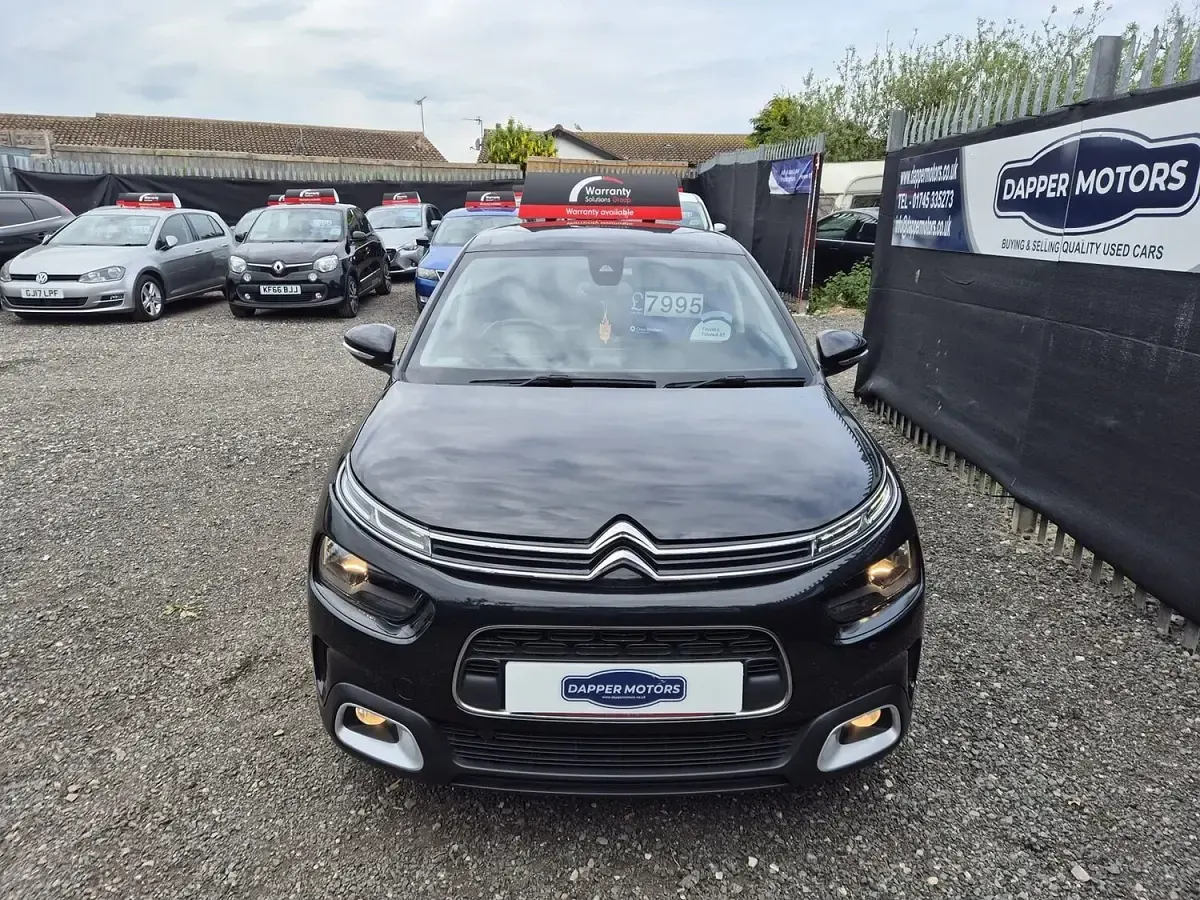 Used Citroën C4 Cactus Flair 2019 Black Hatchback