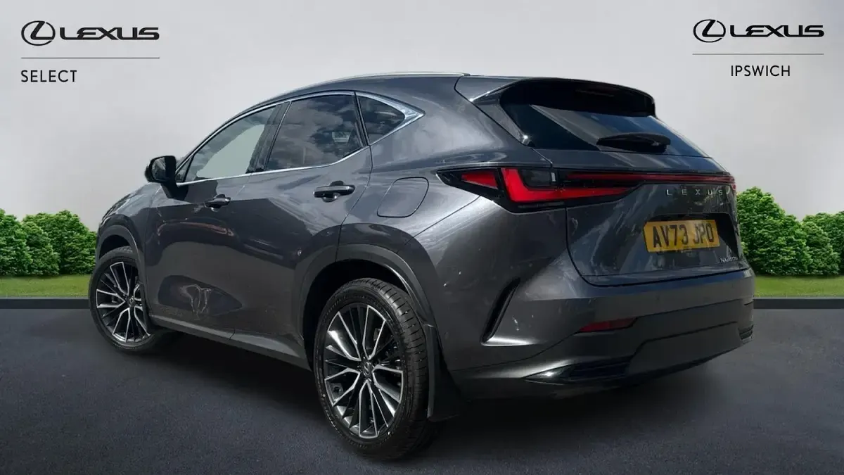 Used Lexus NX450h+ 2023 Grey SUV